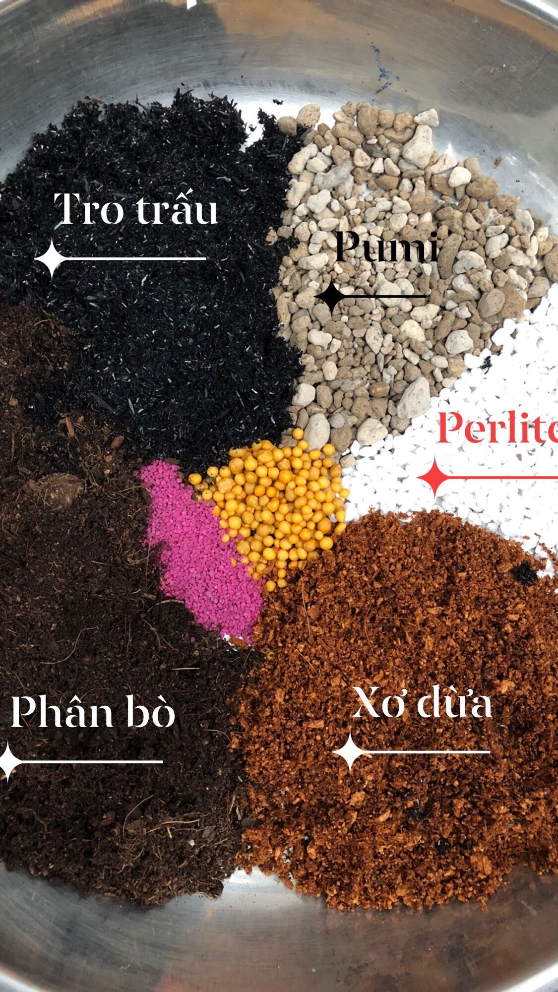 Đất Trồng Sen đá 1kg