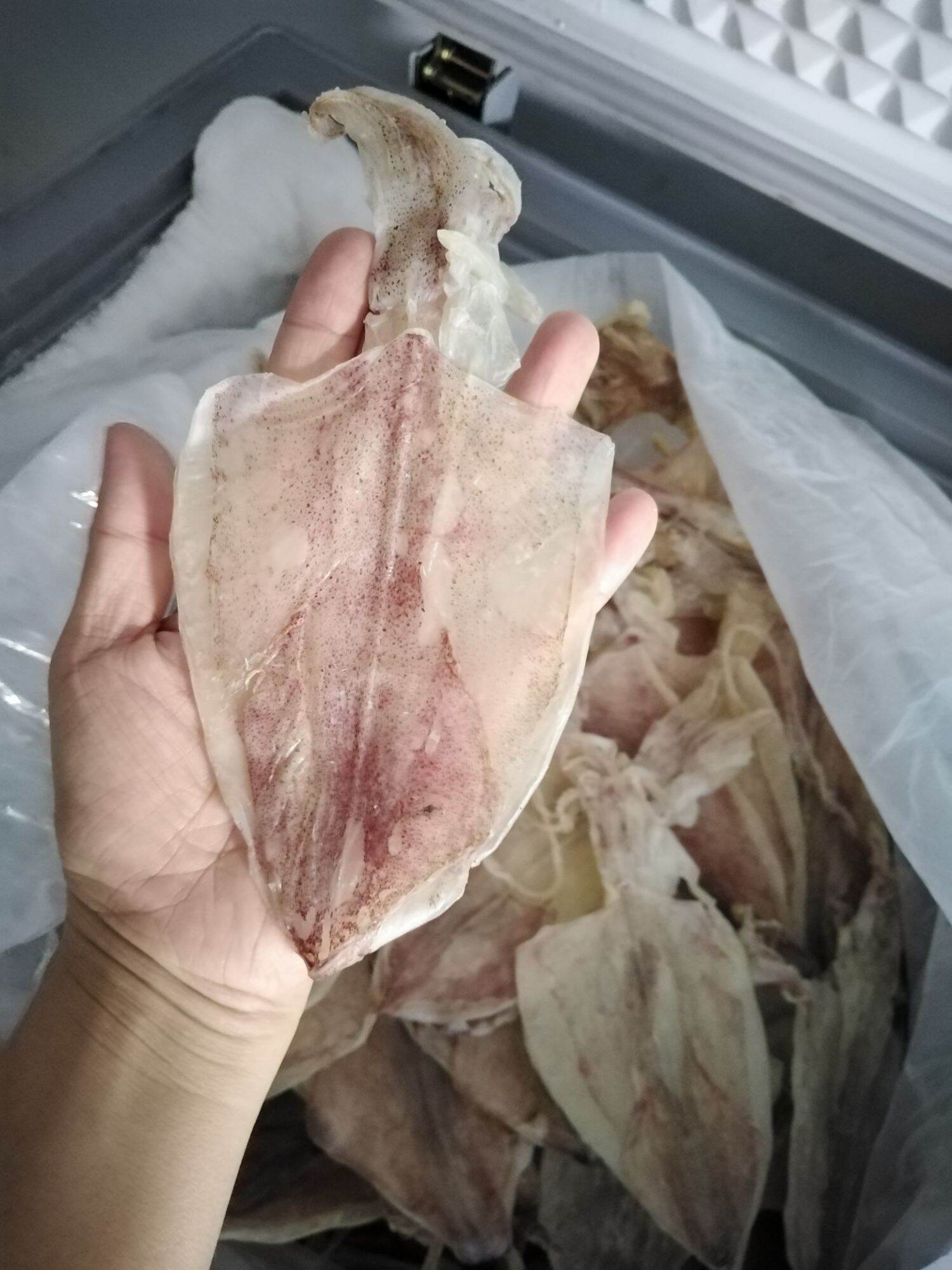 5 con khô mực như hình