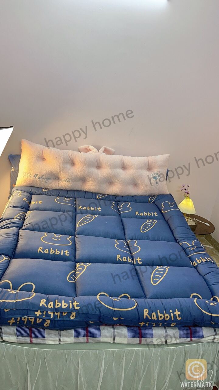 Nệm toper tặng kèm 1 thảm lau chân 3D