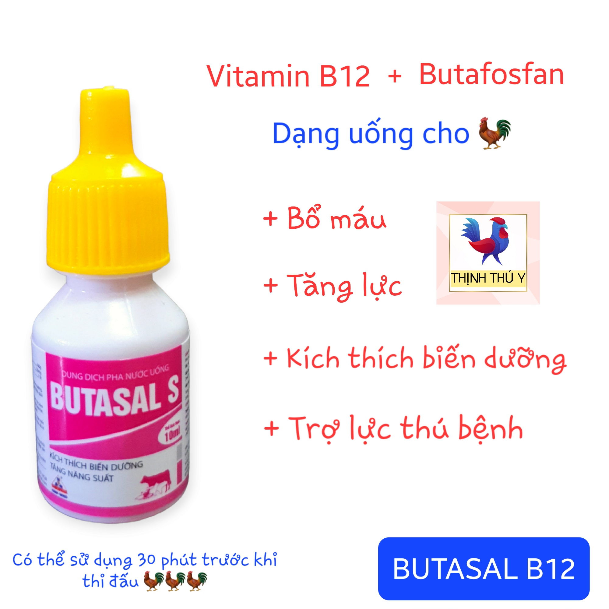 BUTASAL S (10ml) - Butafosfan + Vitamin B12 dạng uống. Bổ máu, tăng lực, kích thích biến dưỡng, giảm mệt mỏi cho gà đá, chó mèo