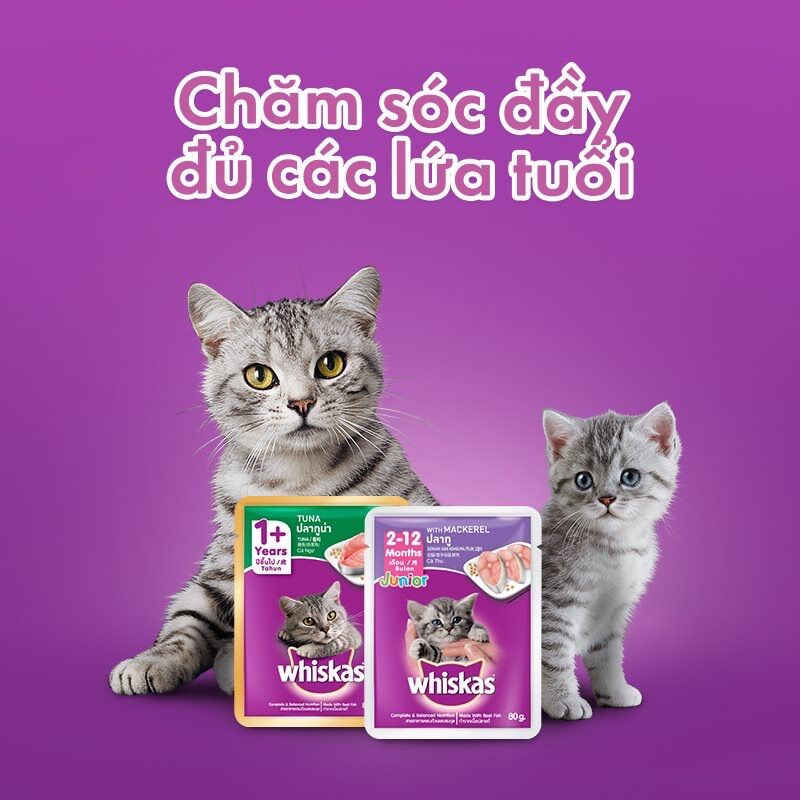 [HCM] Combo 12 gói Pate Whiskas cho mèo