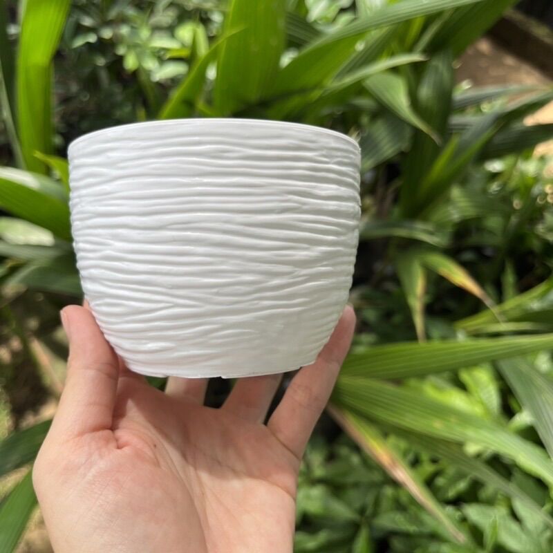 Chậu trồng sen đá Sóng tròn nhỏ (hàng dày)