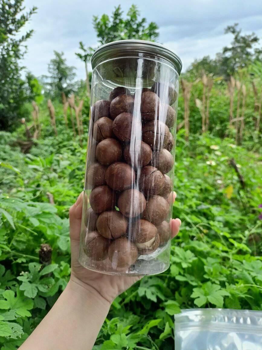 [500g] Hạt Macca sấy tách lức còn vỏ - hạt dinh dưỡng