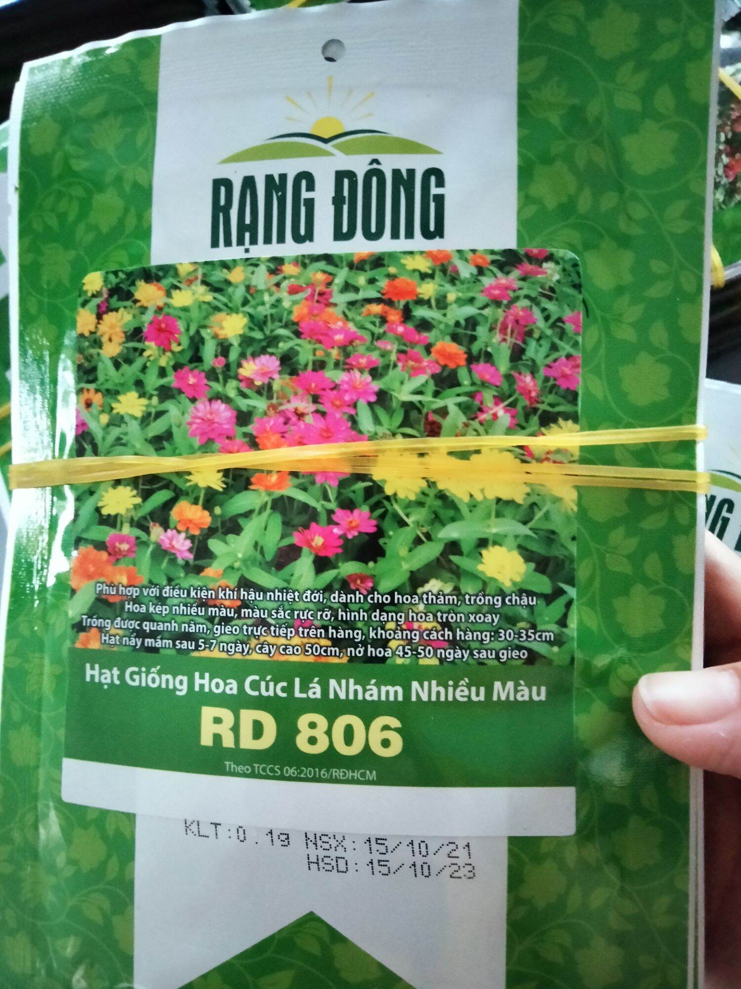 Hạt giống cúc lá nhám