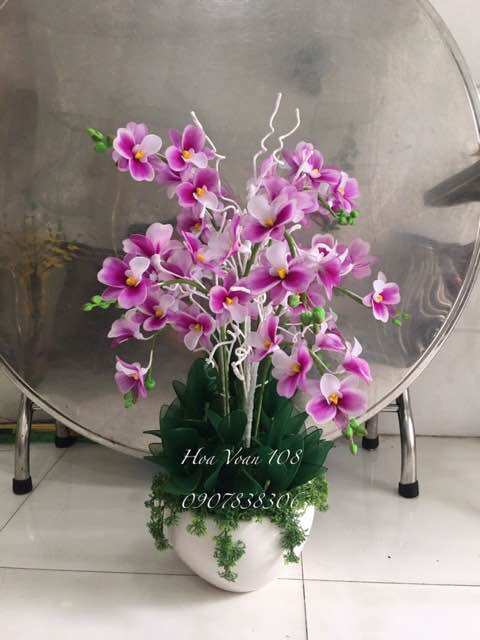 Nhuỵ hoa lan ( 1bó 25 cái)