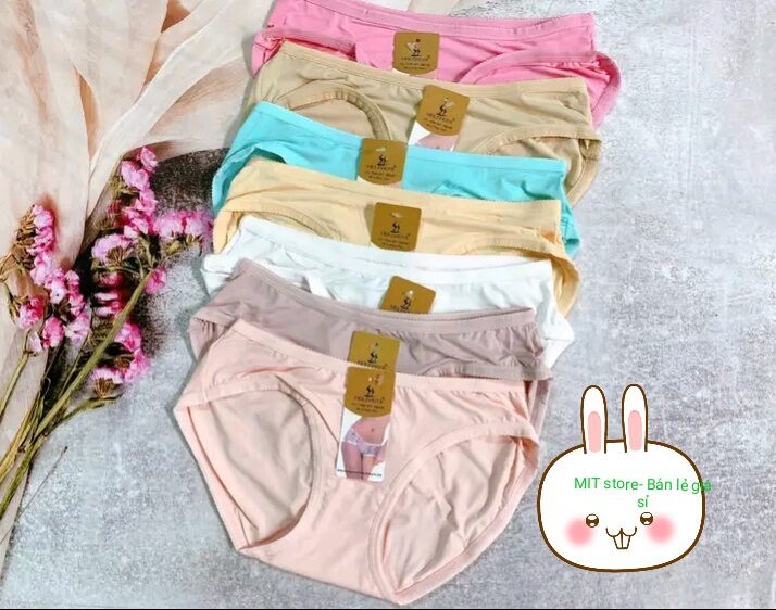 1 Quần lót nữ cotton Thái, Quần lót nữ cotton co giãn 4 chiều, quần lót nữ cotton hàng loại 1
