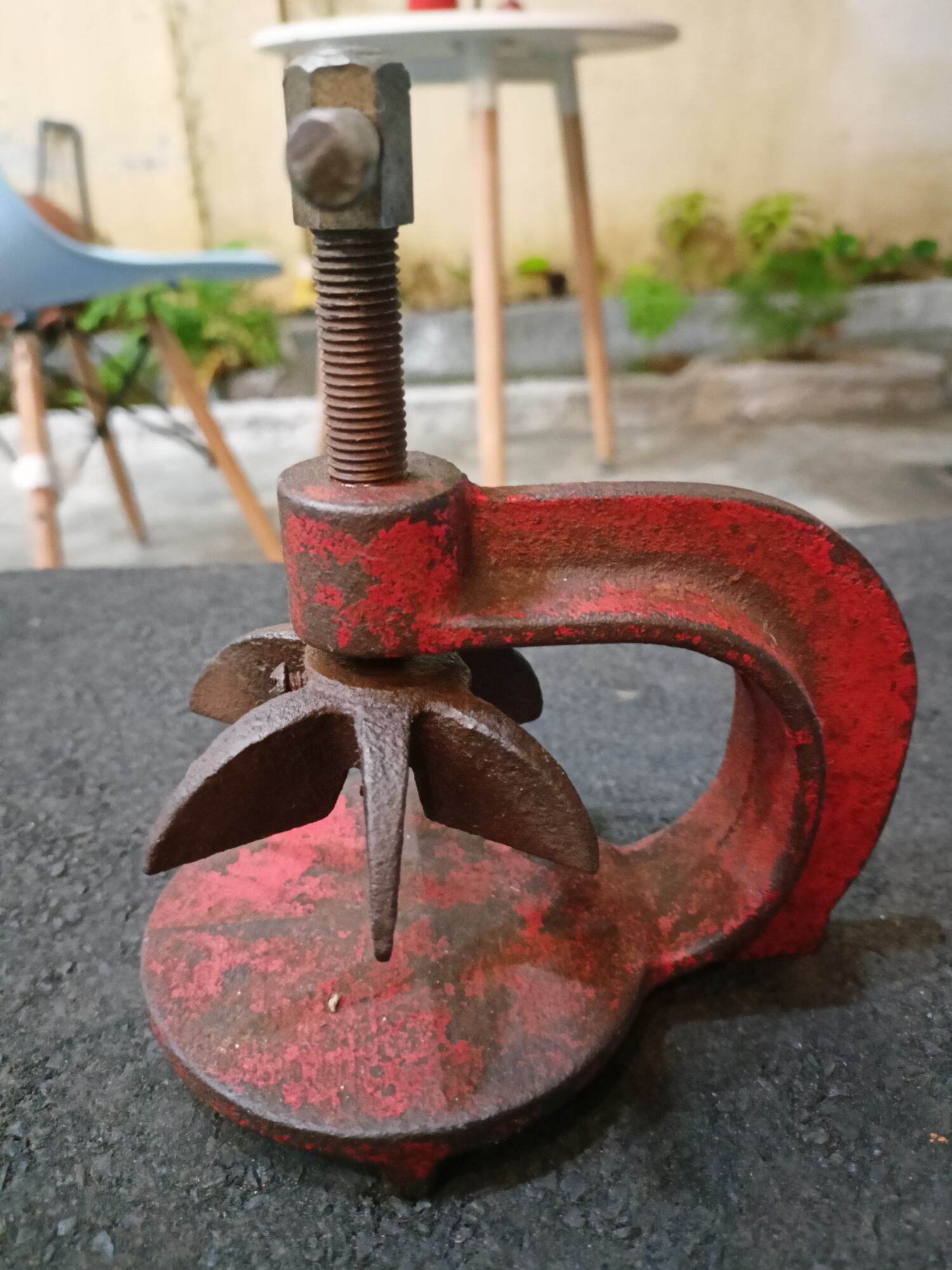 Cảo cùm trái khế hàng Nhật Bãi
