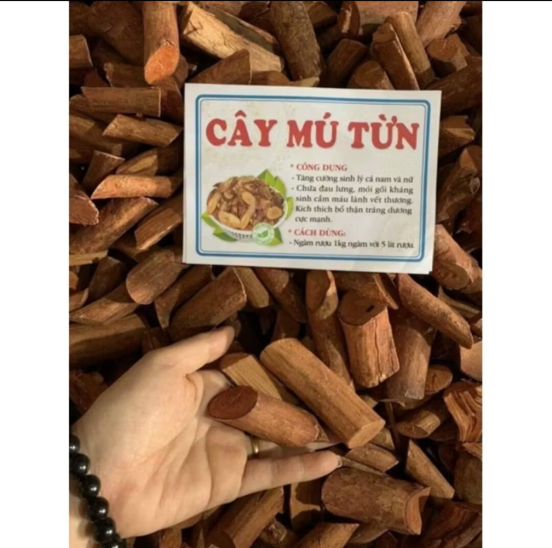 DƯỢC LIỆU QUÝ MÚ TÙN THÂN DỄ 1 KG