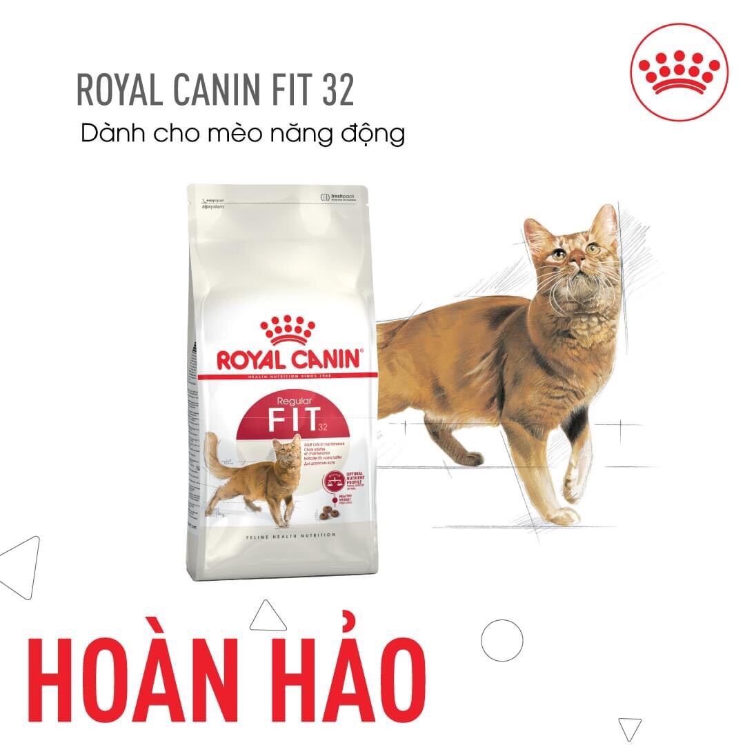 Hạt Royal Canin Fit 32