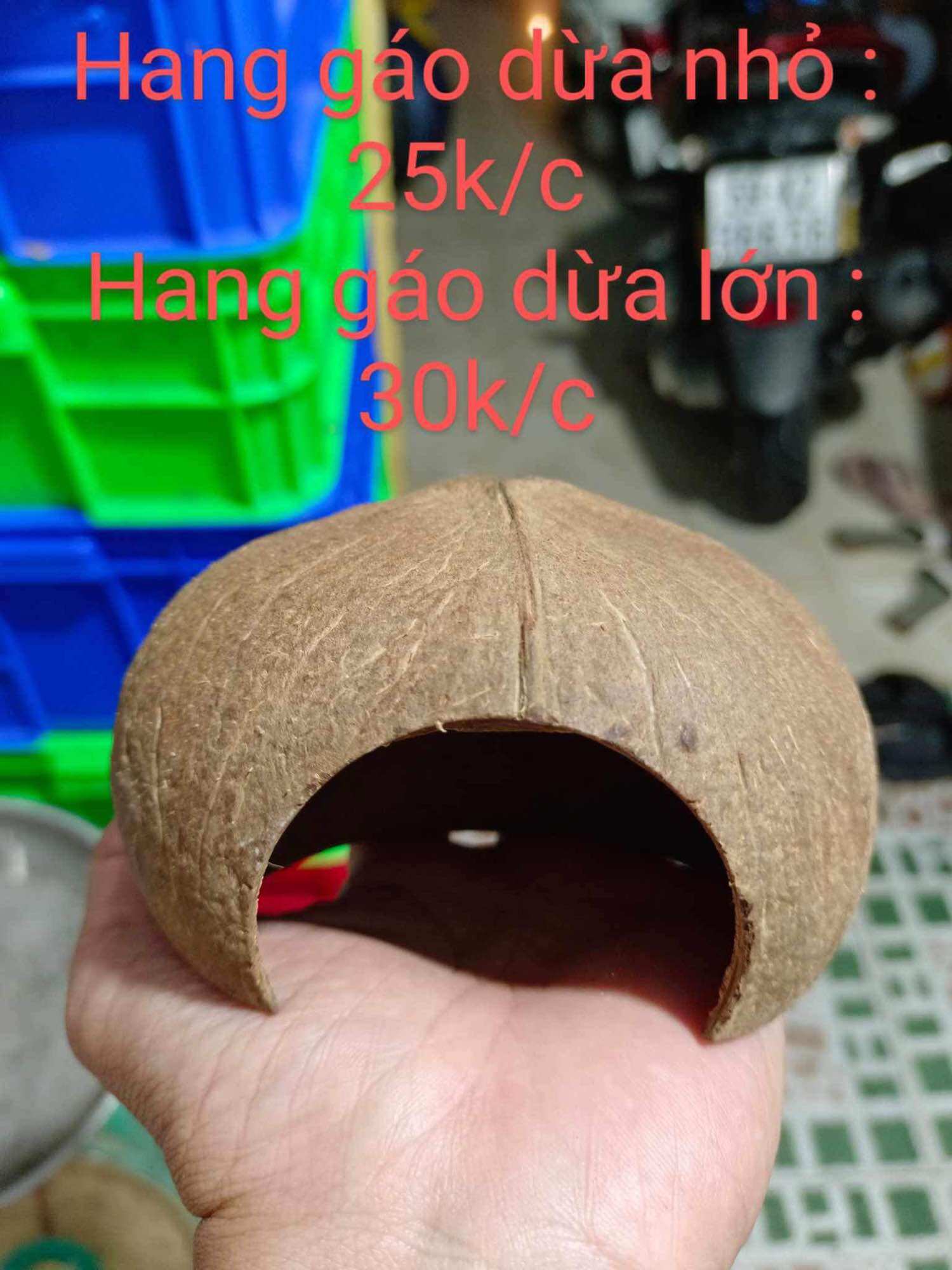 Hang Gáo Dừa cho thú cưng