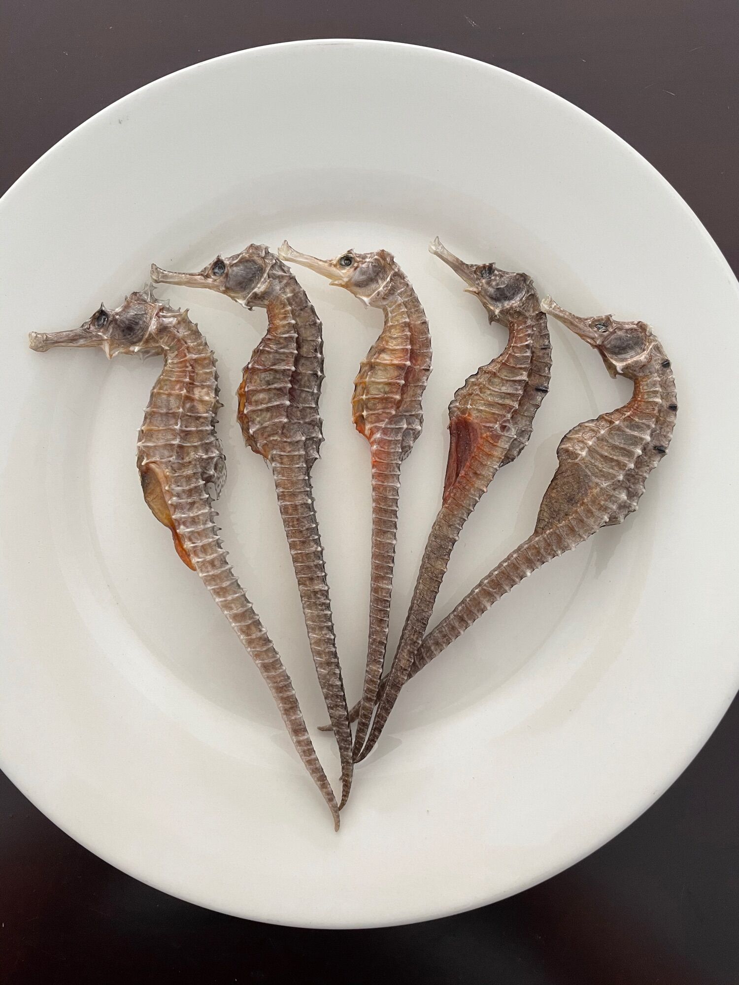 5 con cá ngựa khô size 11-13cm