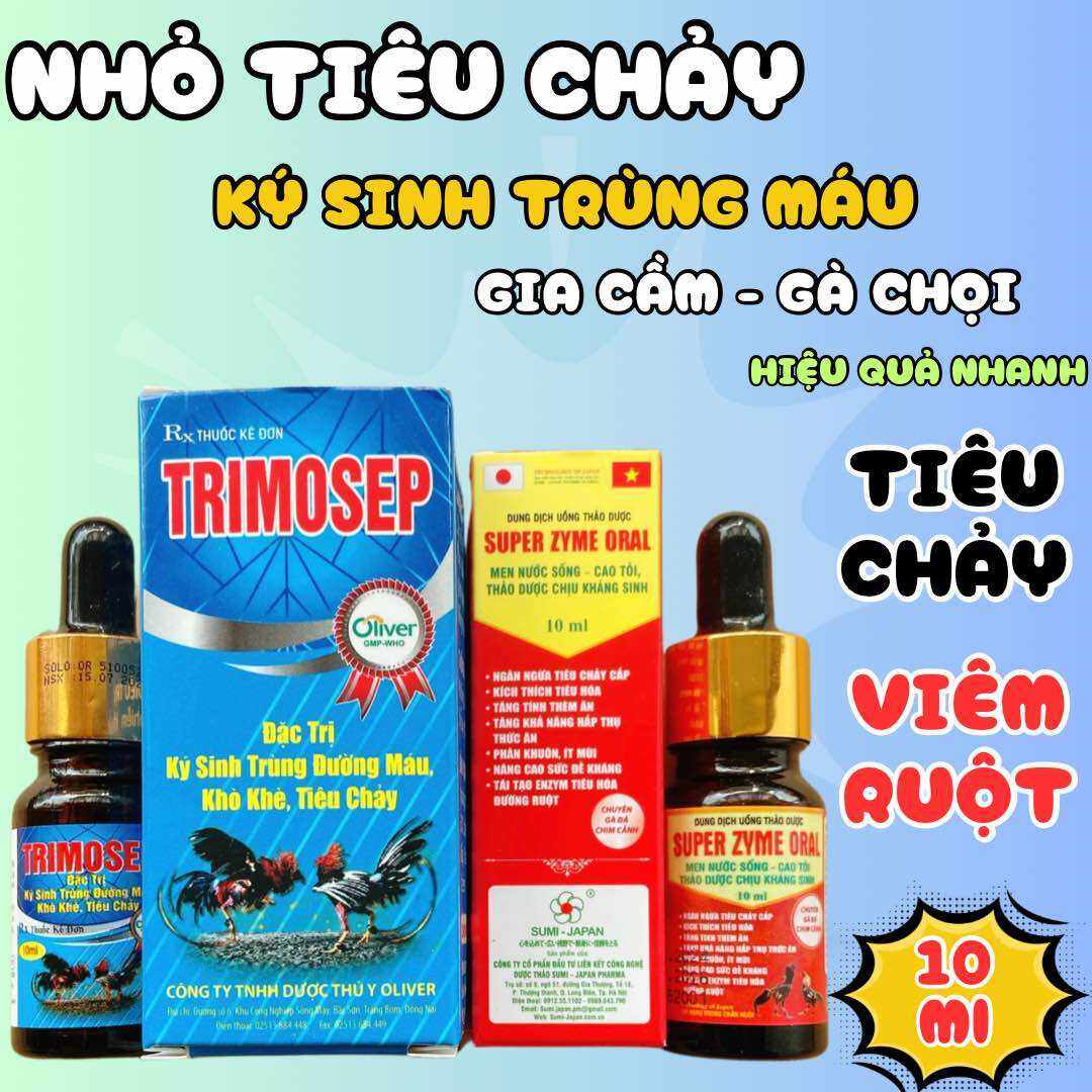 Bộ thuốc nhỏ trị kst máu, viêm ruột, tiêu chảy, teo lườn, khô chân, tái mặt gà chọi 10ml
