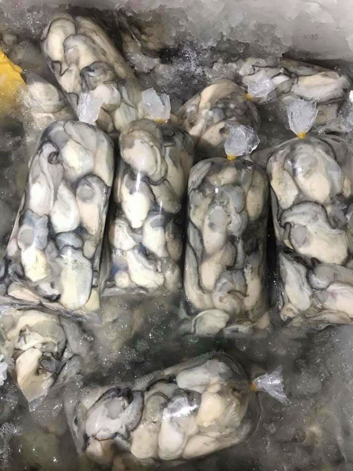 Shelled Milk Oyster 500g (Delivery in Ho Chi Minh City) Urgent Delivery