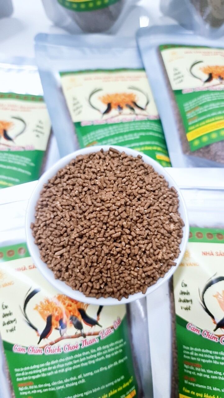 Cám chim chích chòe than, lửa, đất đặt biệt