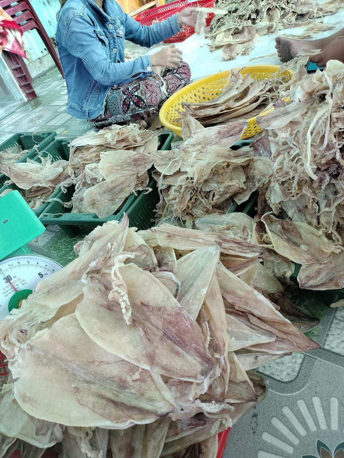 Set mực khô Cà Mau bịch 14-15con/250gram