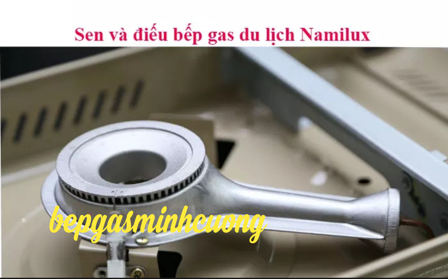 SEN chia lửa và họng BẾP GAS du lịch Namilux.