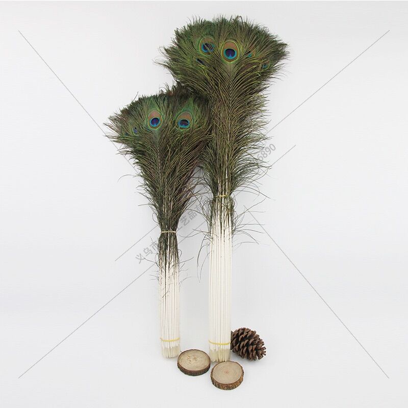 Sỉ 10 cọng lông công phong thuỷ dài 25-100 cm
