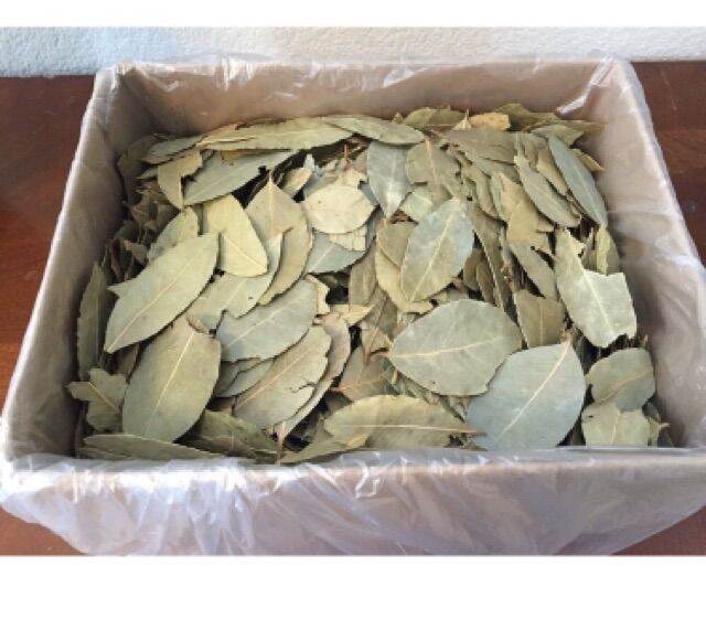 300Gr Lá Nguyệt Quế ( Bay Leaf)