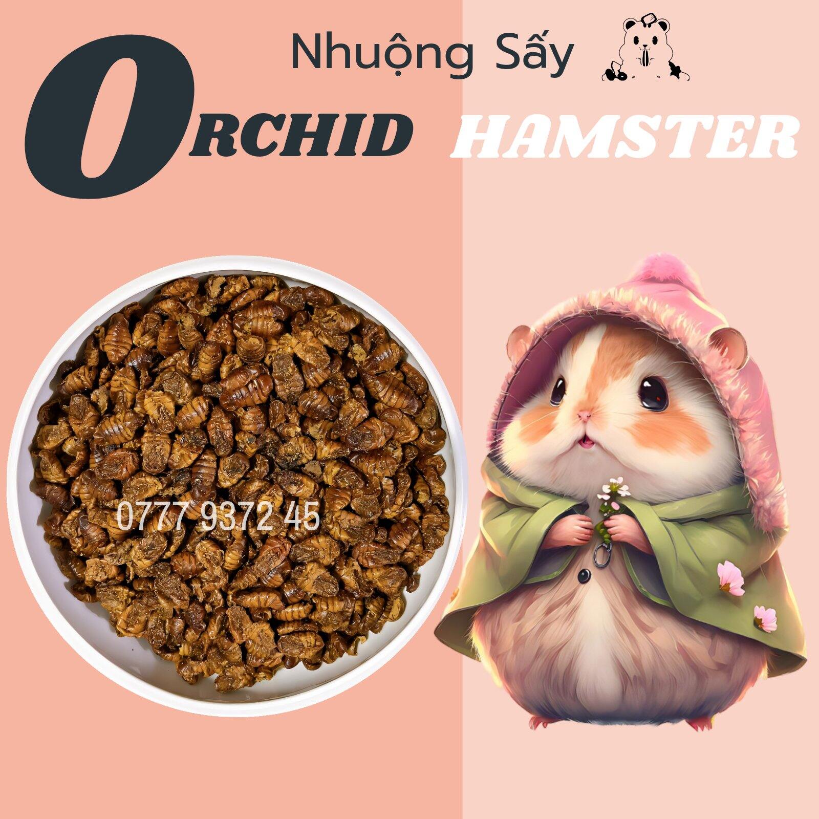 Nhuộng Sấy Cho Hamster