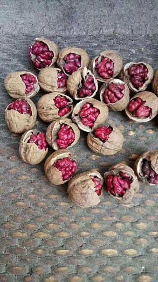500G Quả óc chó đỏ Mỹ