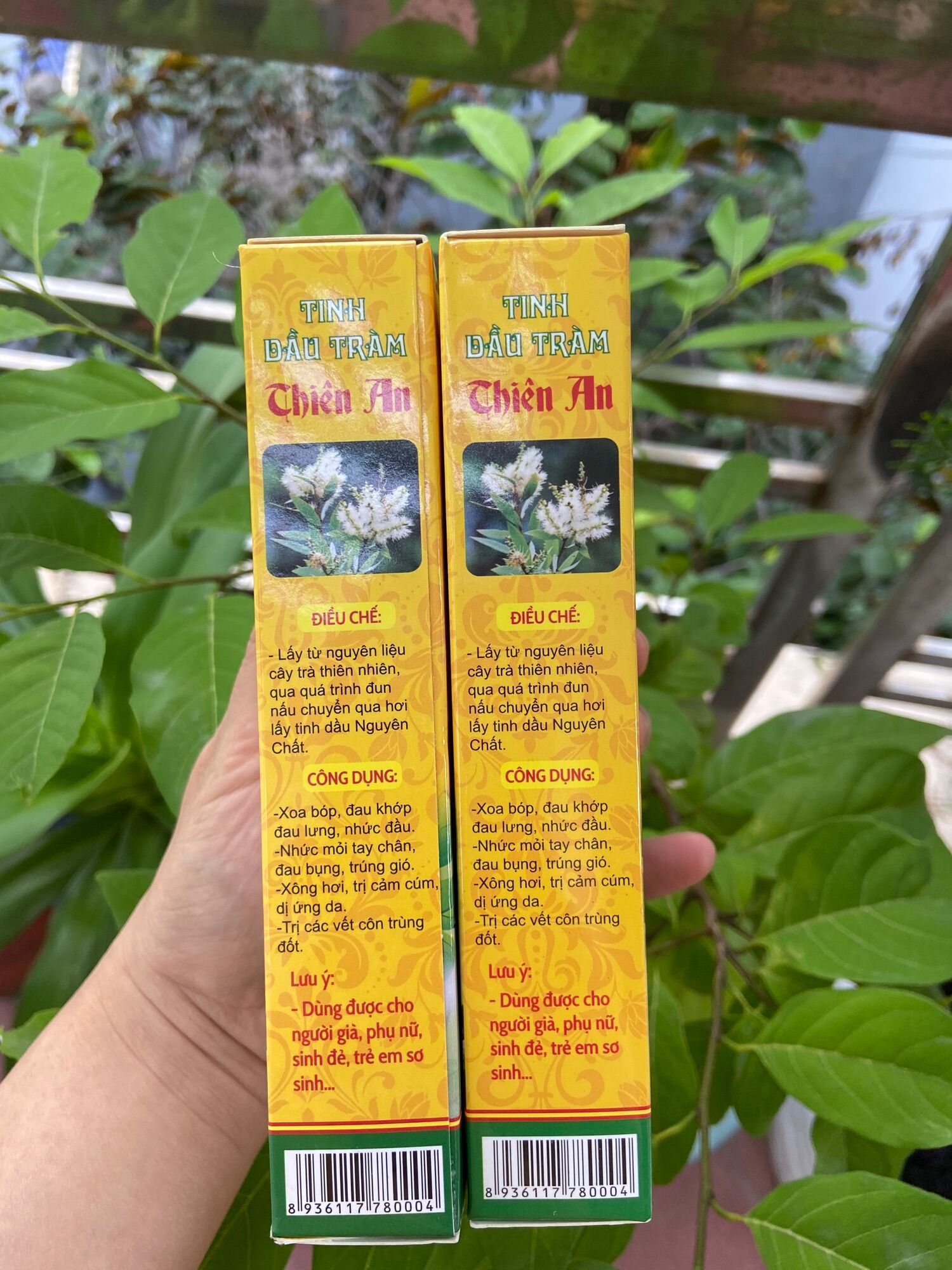 Tinh dầu tràm Thiên An gốc Huế