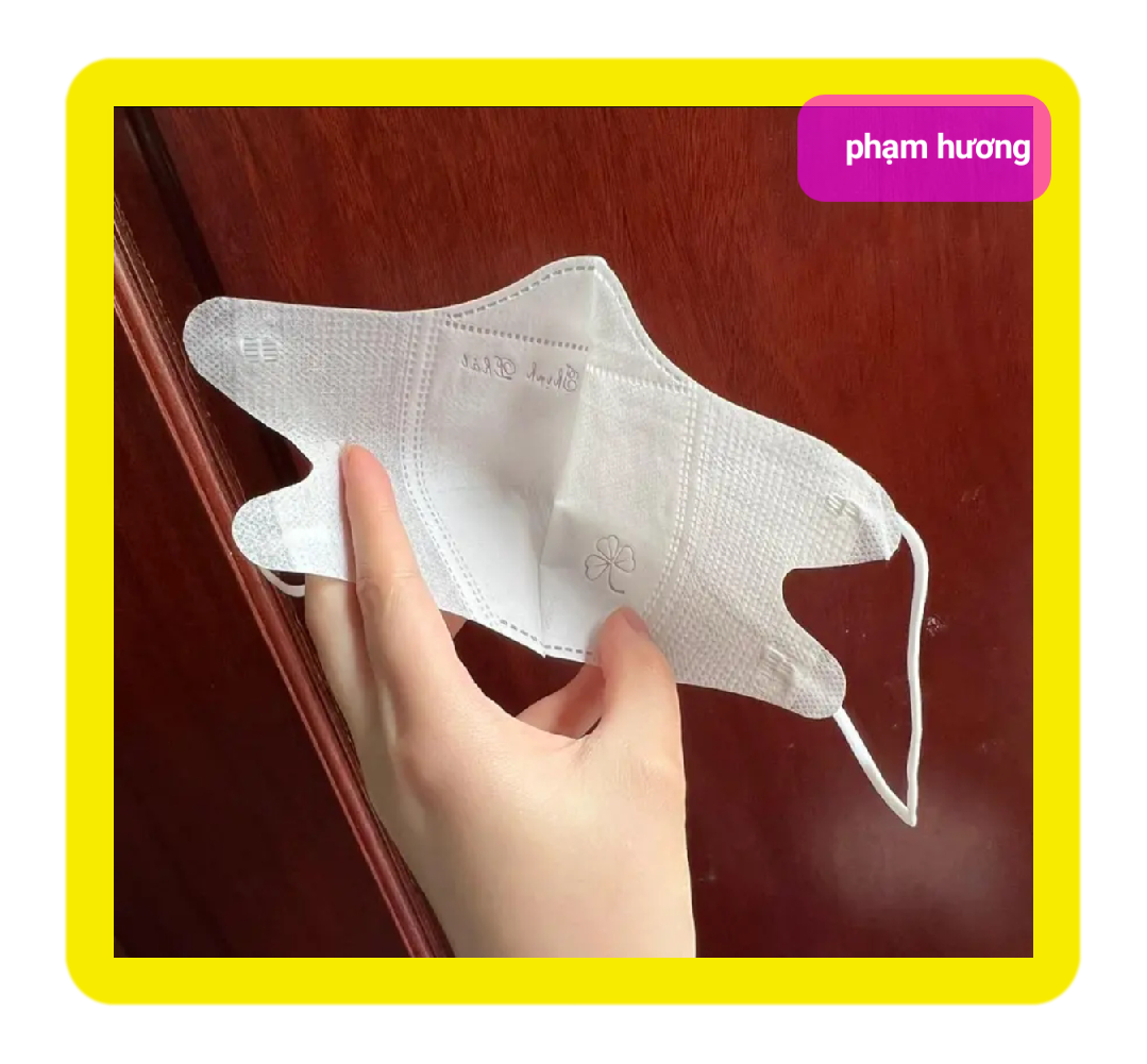 1 túi 10 chiếc khẩu trang 5D mask