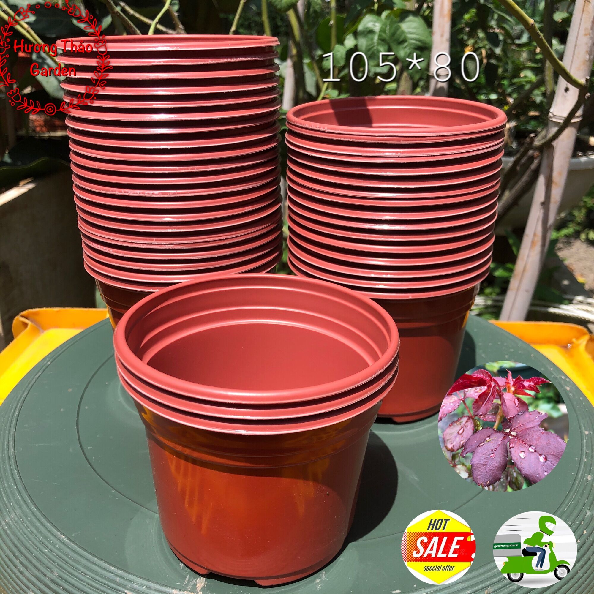 Bộ 10 chậu nhựa ươm cây giống - chậu sen đá