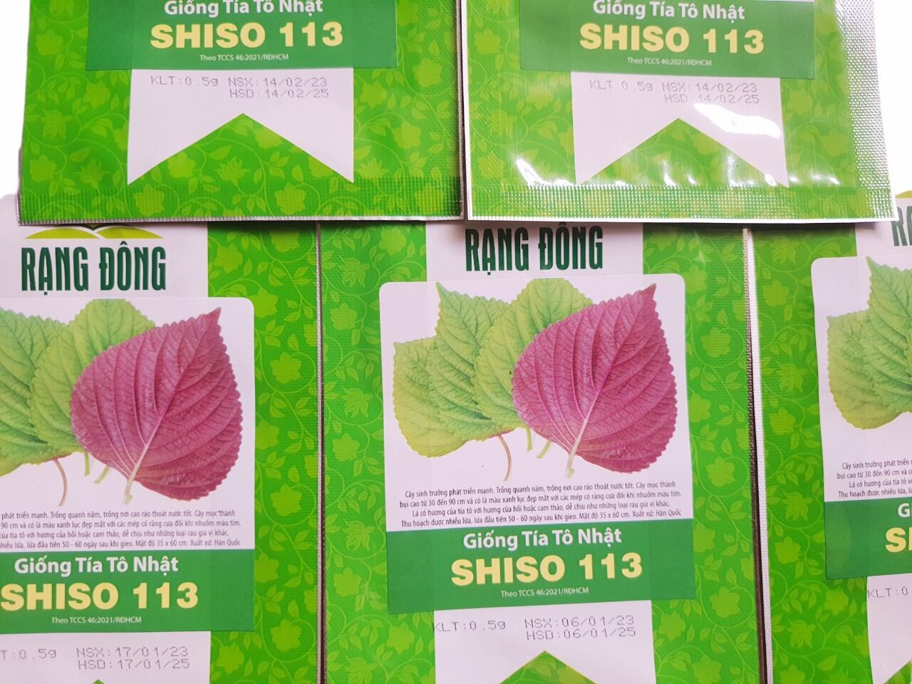 Giống lá tía tô nhật