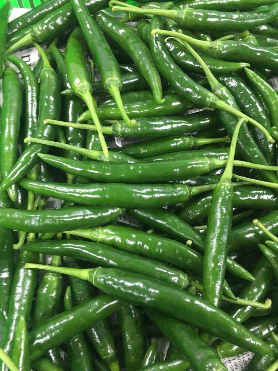 Ớt sừng xanh Hàn quốc (100gr)