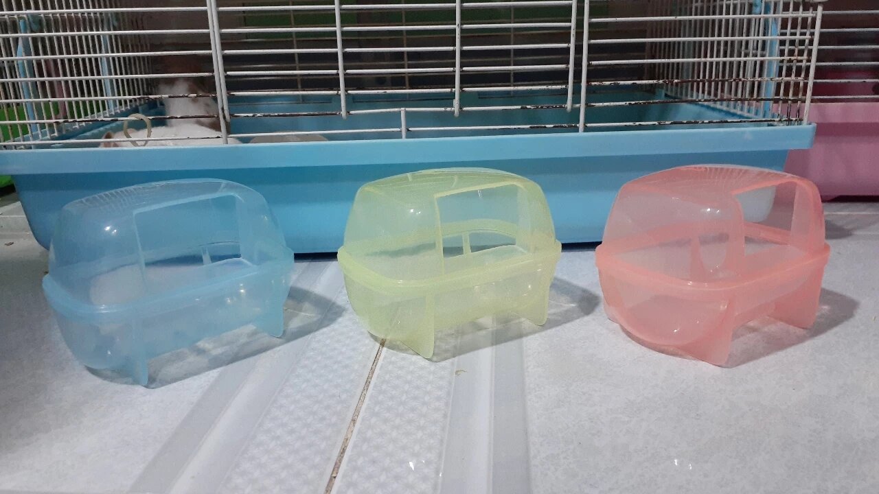 Nhà tắm size nhỏ cho hamster Winter white, campell, robo
