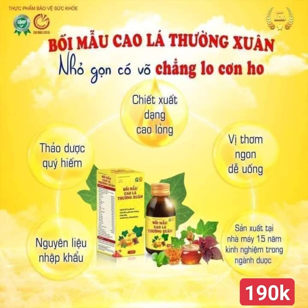 Bối mẫu cao lá thường xuân