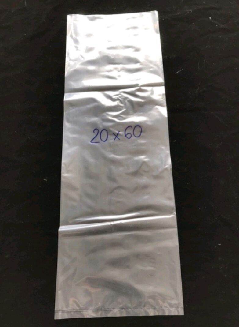 1 kg túi đóng cá Guppy, betta  - Nga Guppy - 9 size - 8