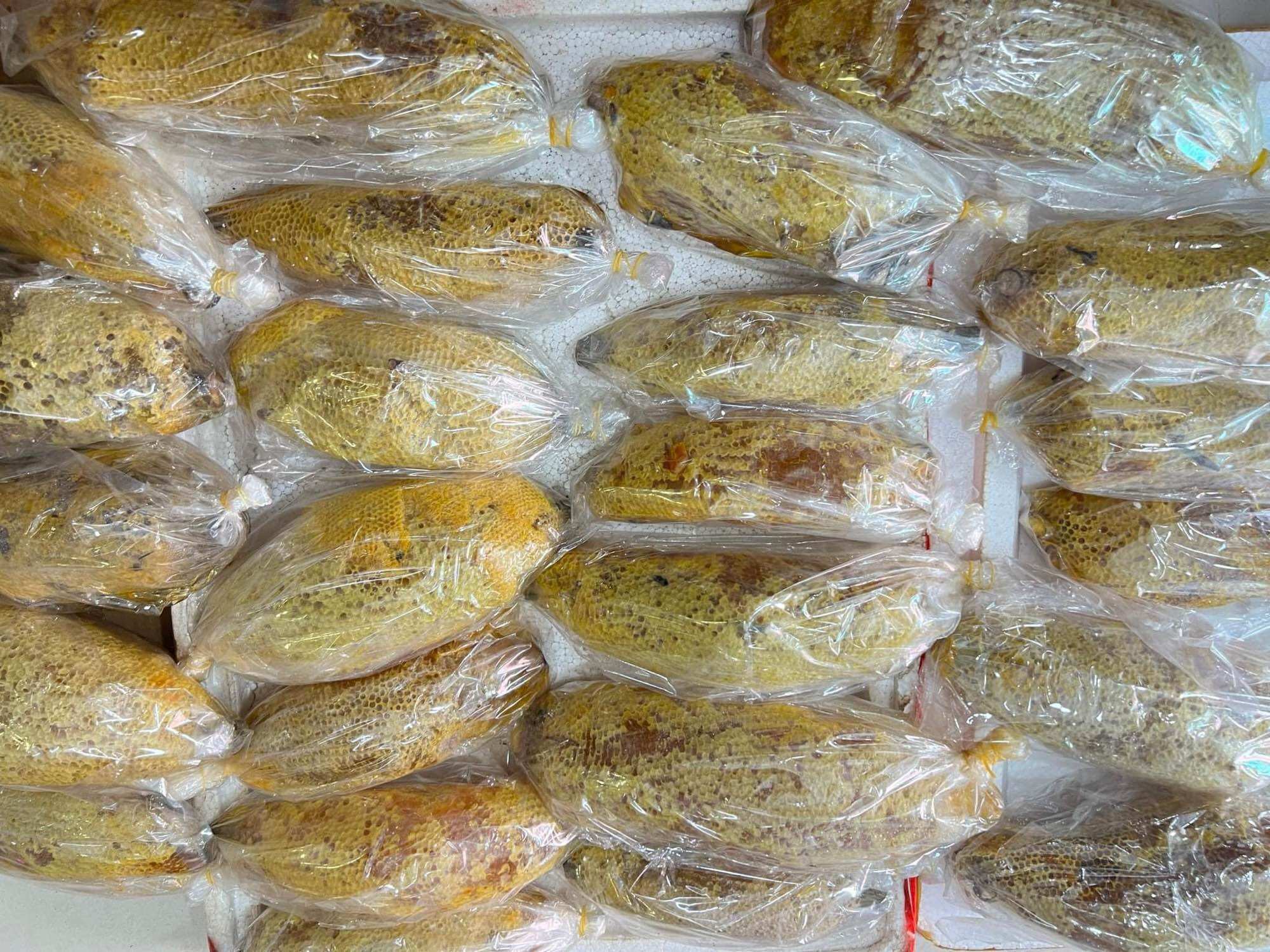 Tổ ong ruồi thiên nhiên