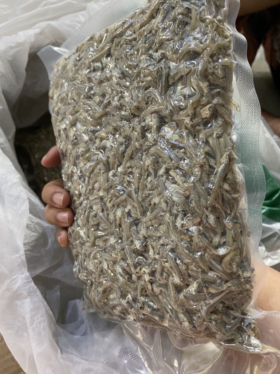 0,5kg khô cá cơm/Cá cơm khô hút chân không xuất khẩu