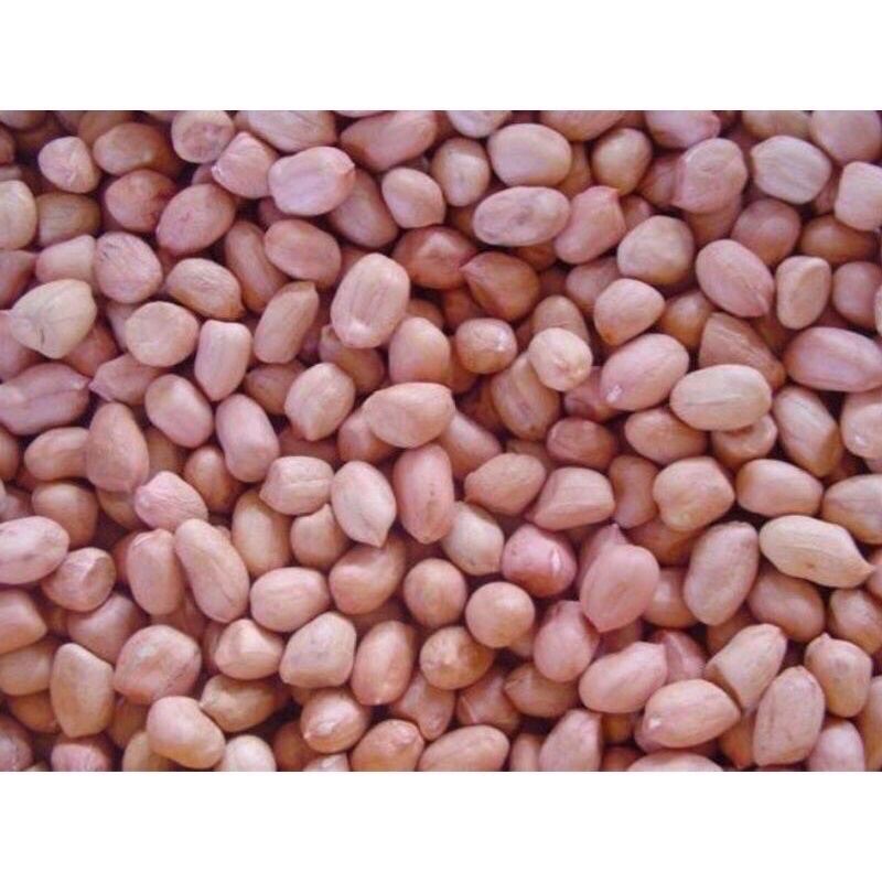 Đậu phộng sống túi 1kg