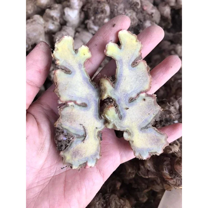 1kg gừng gió tươi