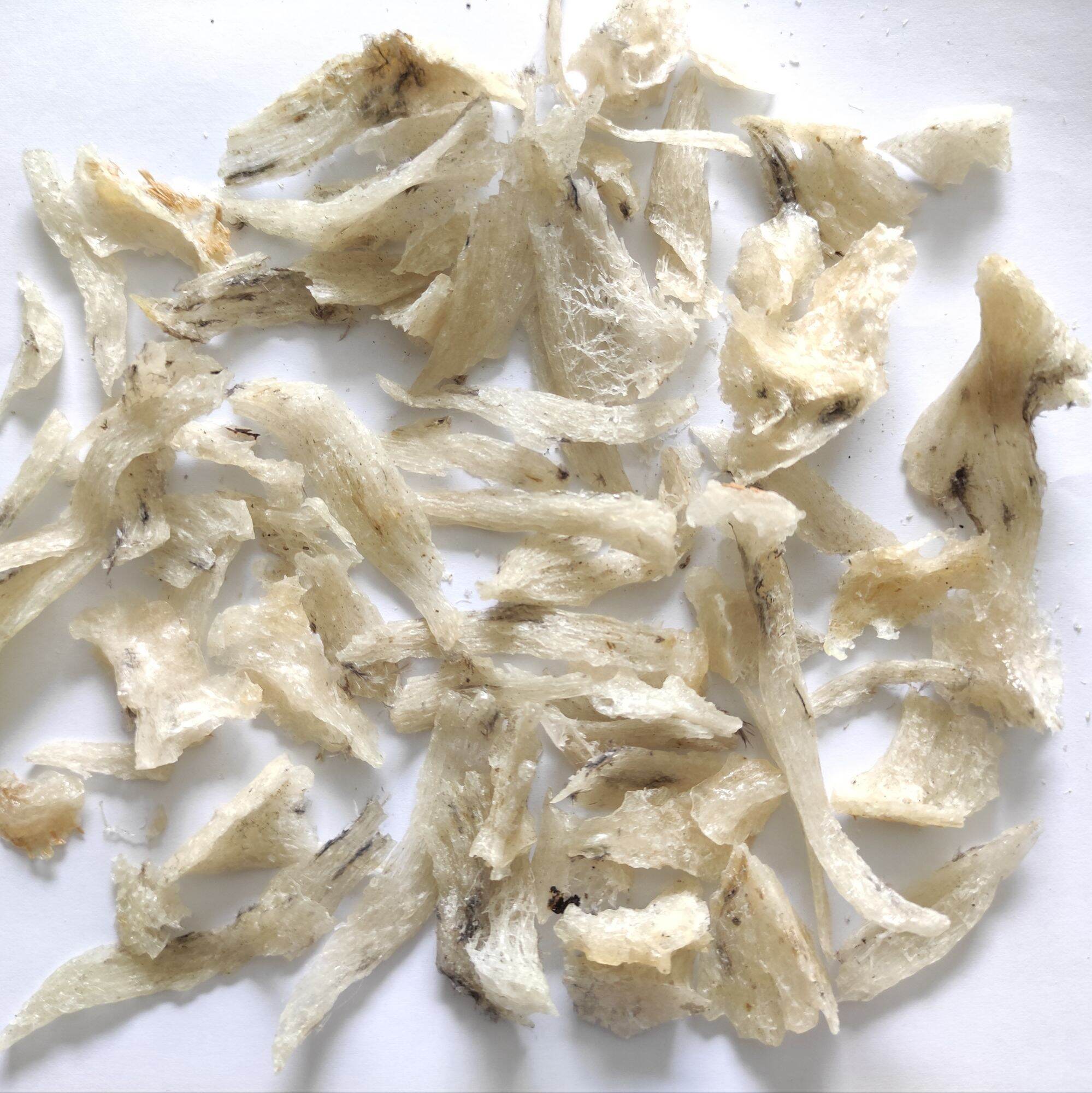 Yến sào thô vụn tổ 10g (không kèm nguyên liệu)