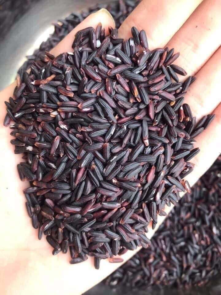 Gạo lứt đen dẻo ĐIỆN BIÊN