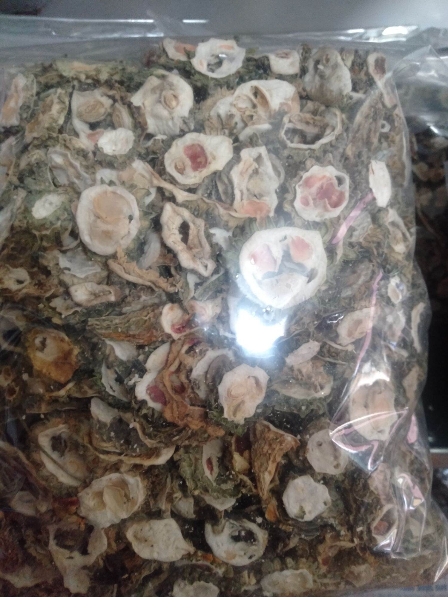 Mướp đắng rừng