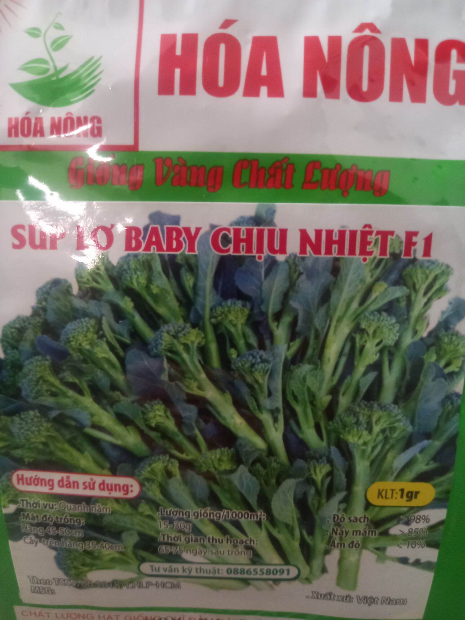 Hạt  súp lơ baby giống  chịu nhiệt