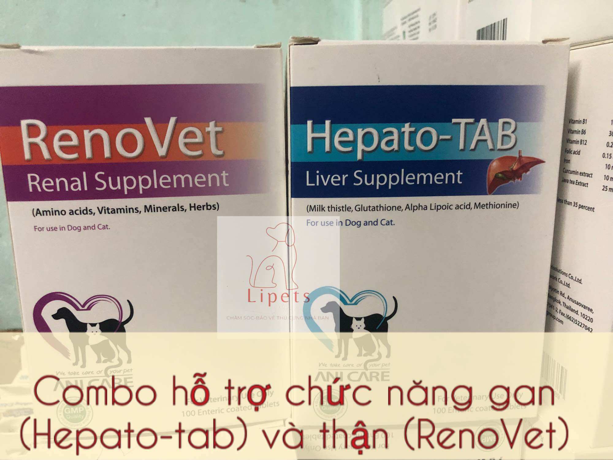 Hepato Tab (gan) và Reno vet (thận) giải độc gan, thận cho chó mèo renovet