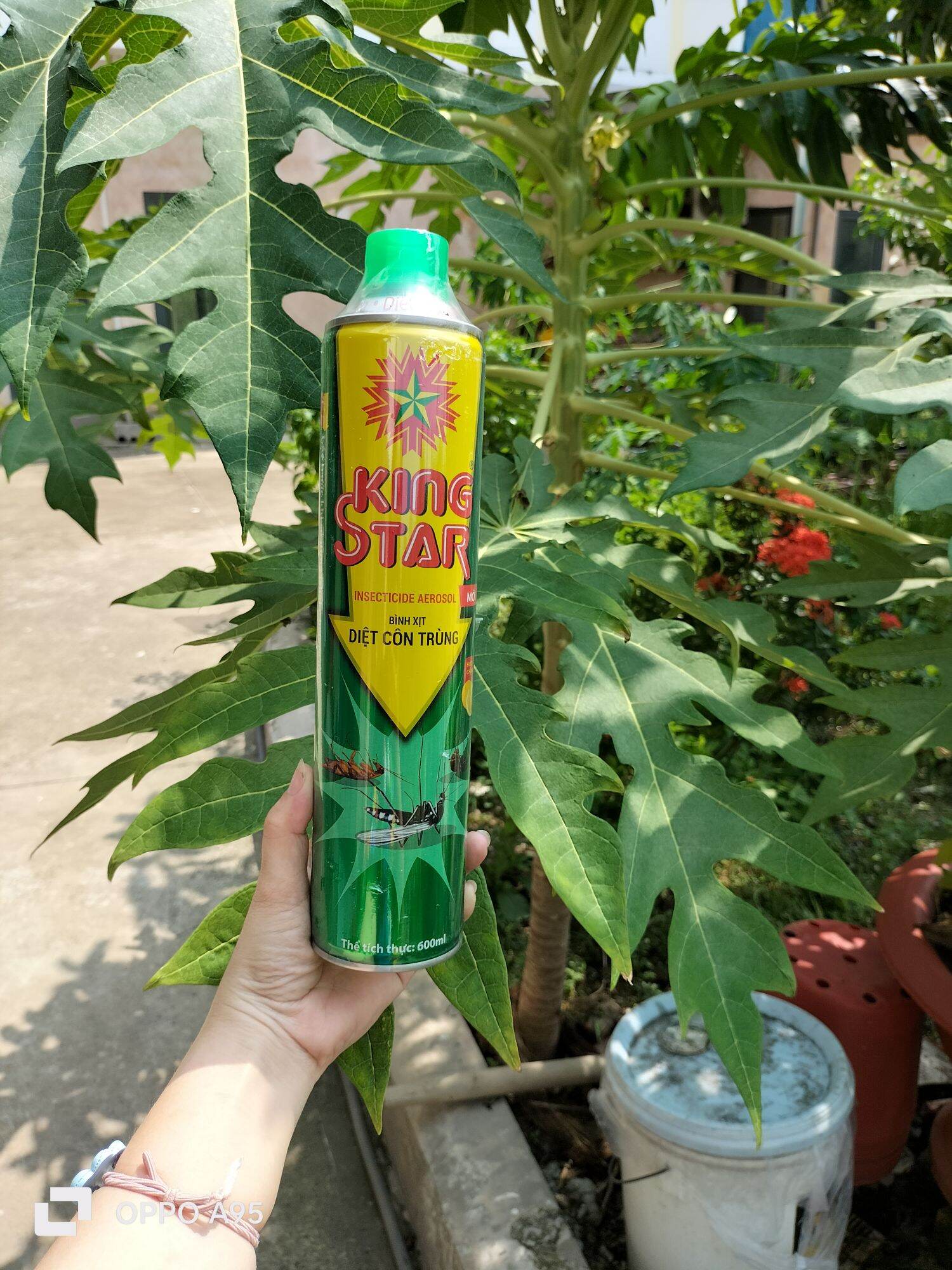 [XẢ KHO] Bình Xịt Diệt Côn Trùng Kingstar Xanh
