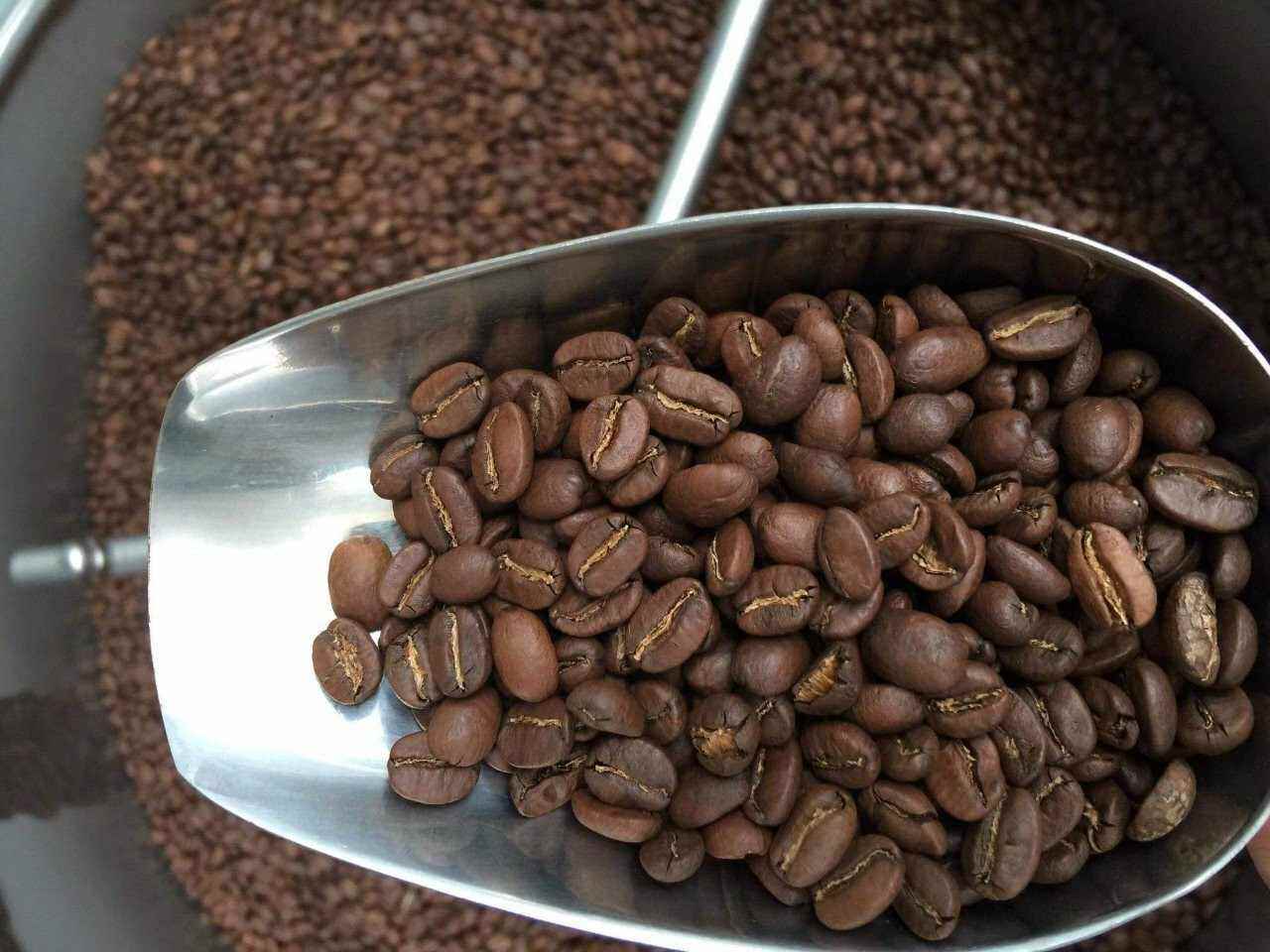 [CHỒN THƯợNG HẠNG ] 1 KG CÀ PHÊ CHỒN RANG XAY PHA PHIN BAN MÊ