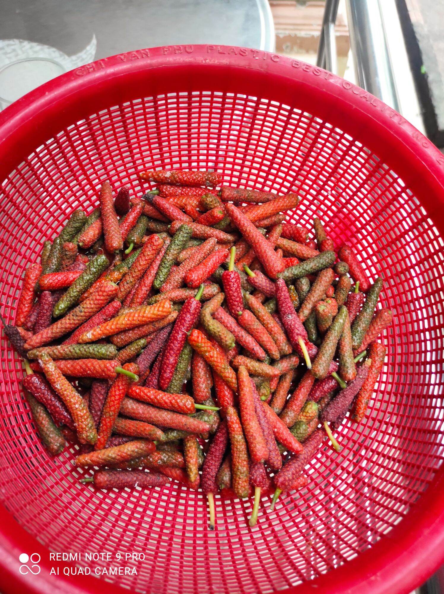 Muối tiêu lớp (tiêu lốt)