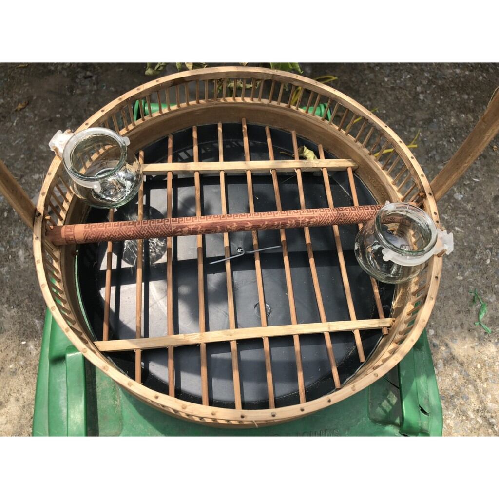 Lồng trần cu gáy (tặng kèm xích chân)