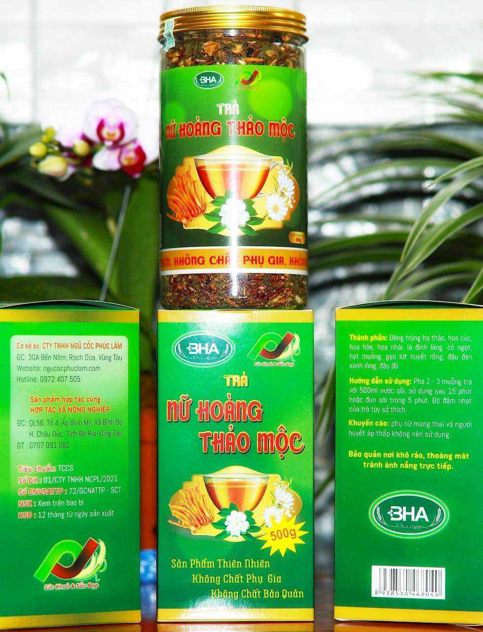 TRÀ NỮ HOÀNG THẢO MỘC (500g)