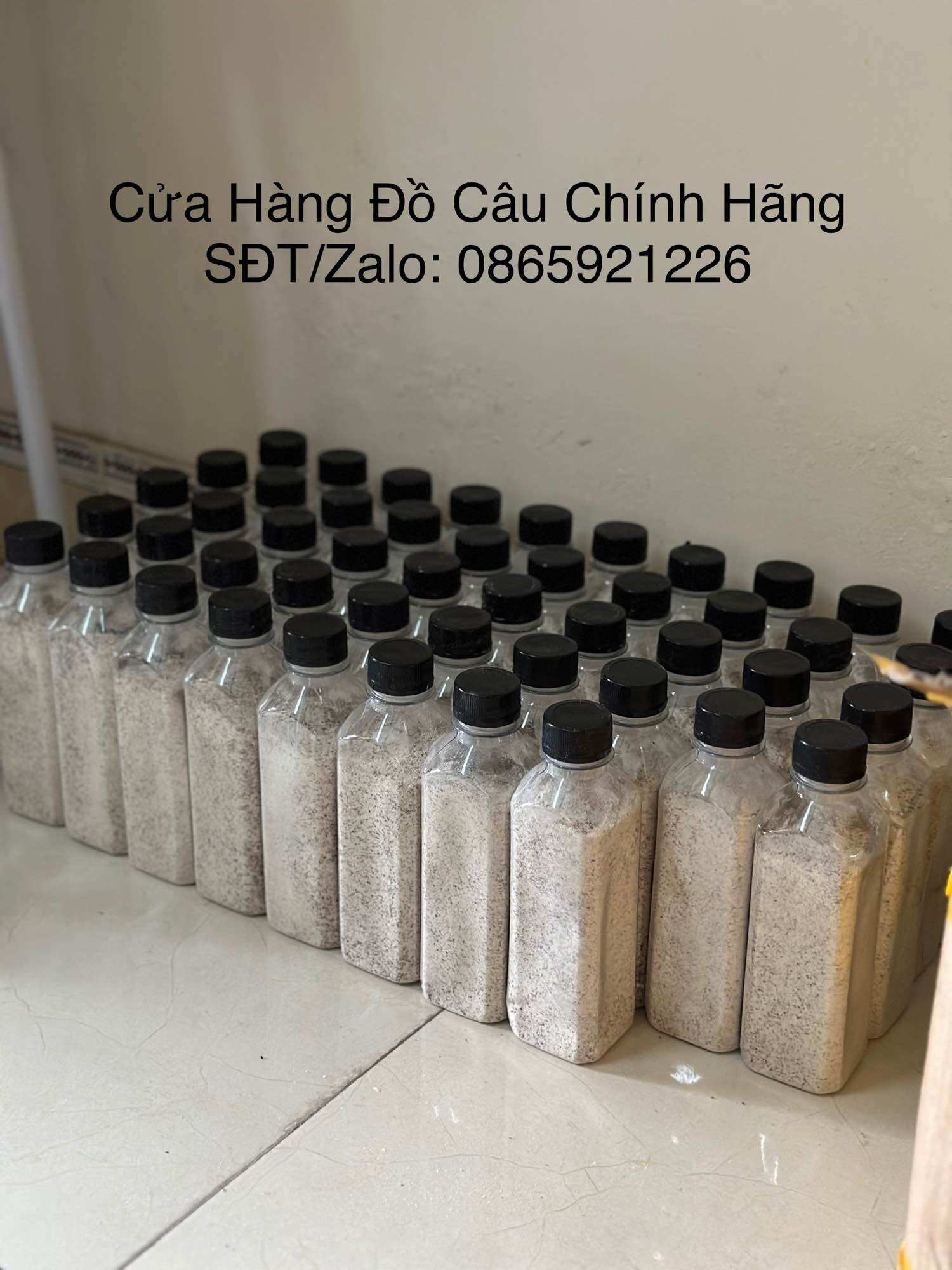 Bột Tơ Nhện Câu Cá