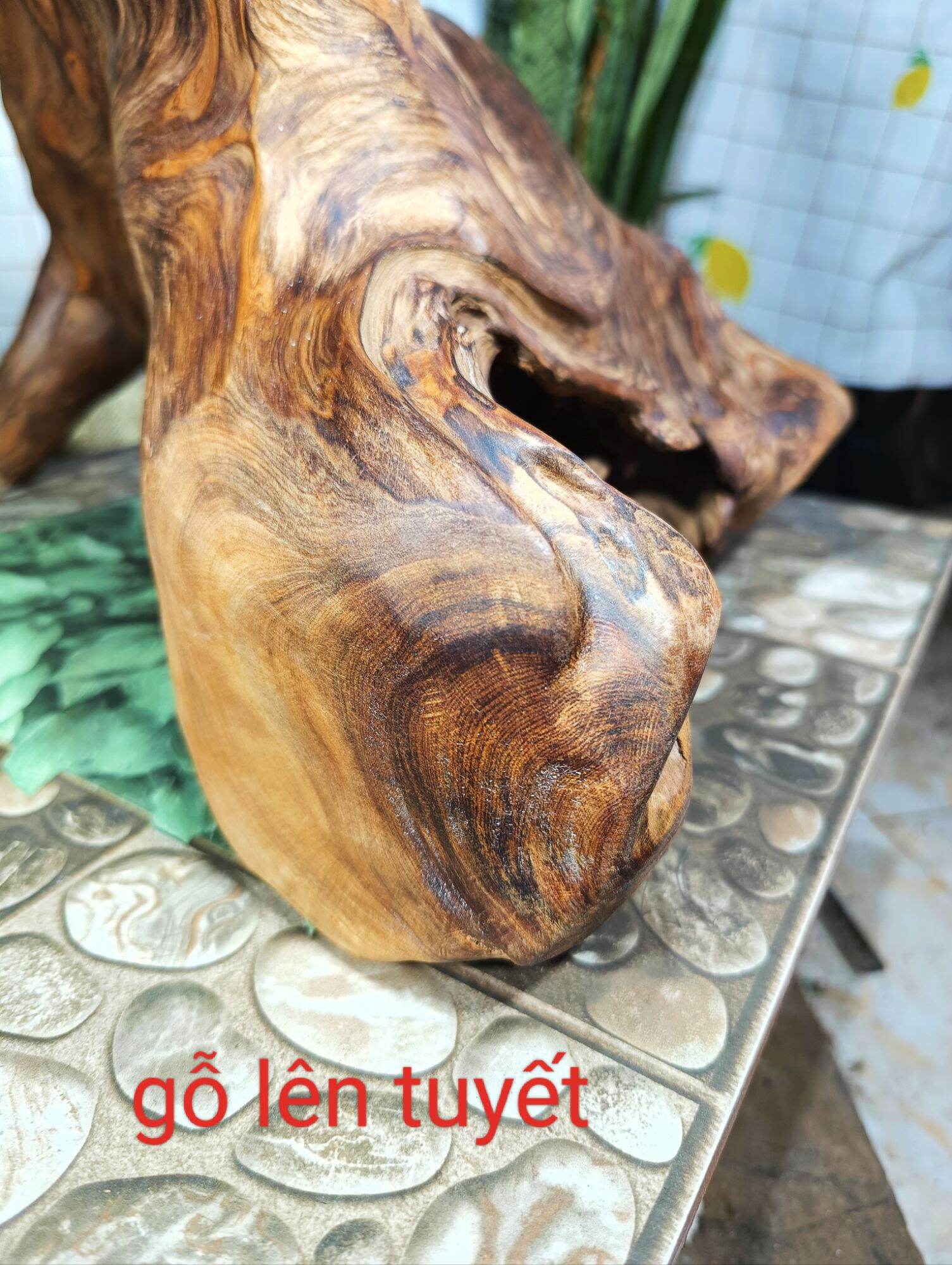 lũa gỗ thơm ngọc am đỏ hà giang