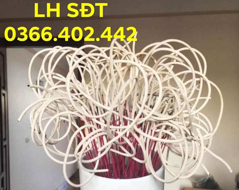 Nhang cuộn tàn thơm mua 5 tặng 1