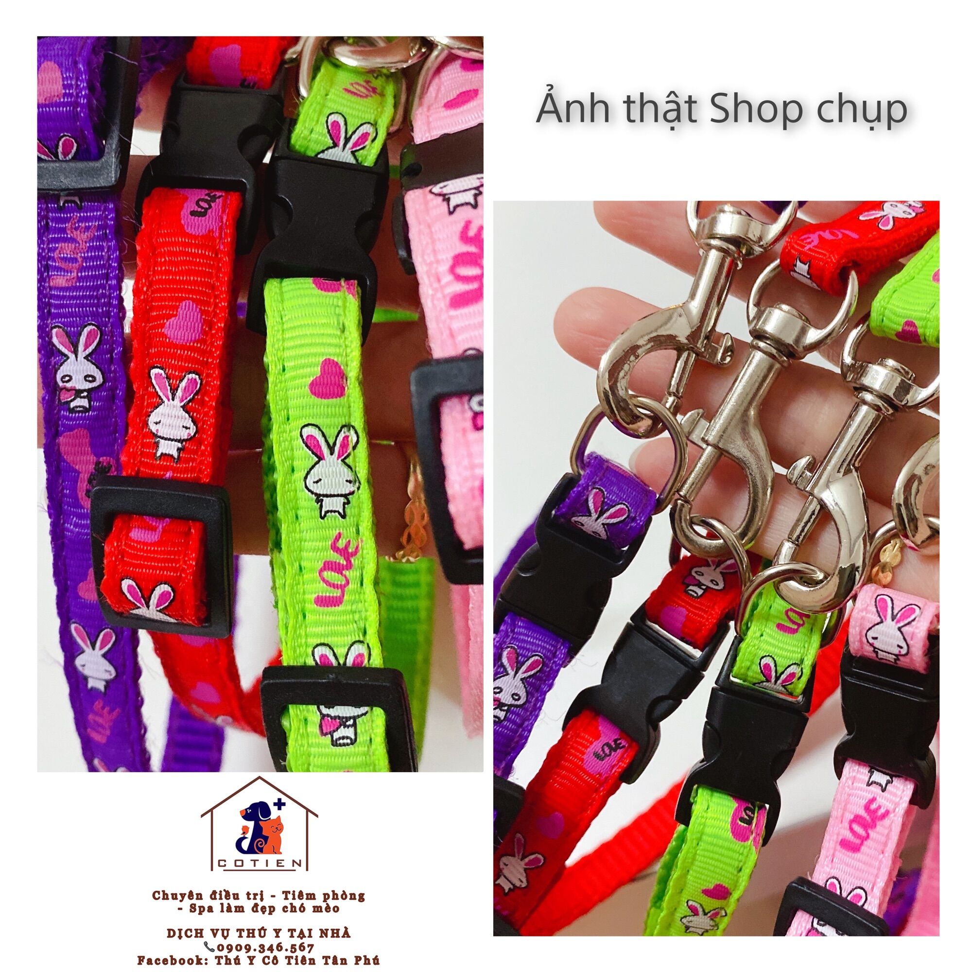 Sét Dây dắt kèm vòng cổ cho chó mèo (Set 1 dây dắt + 1 vòng cổ)